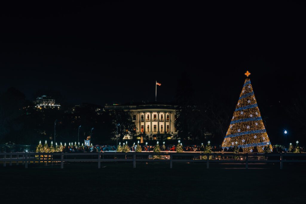 The White House and National Christmas Tree at night, in Washington, D.C.