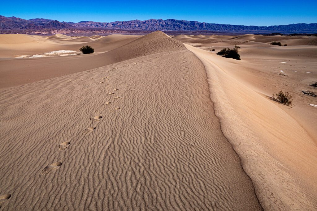 Sand dunes in Death Valley National Park.