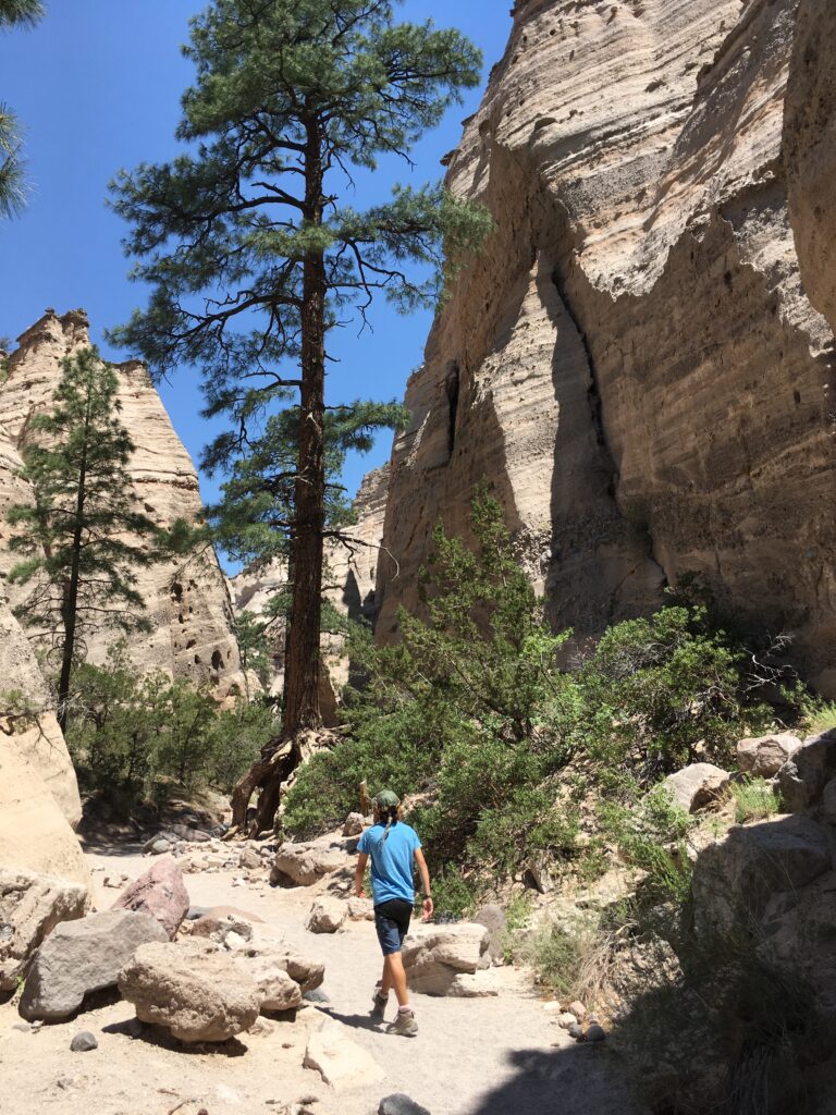 Once you enter the canyon the scenery becomes more interesting.